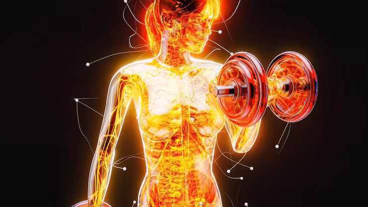 How to Build Energy-Muscle Without Burning Yourself Out