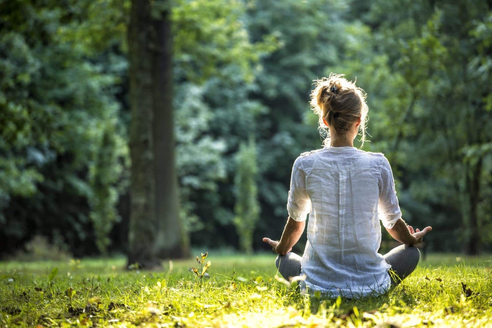Morning, Noon, or Night: Discover a great Time to Meditate