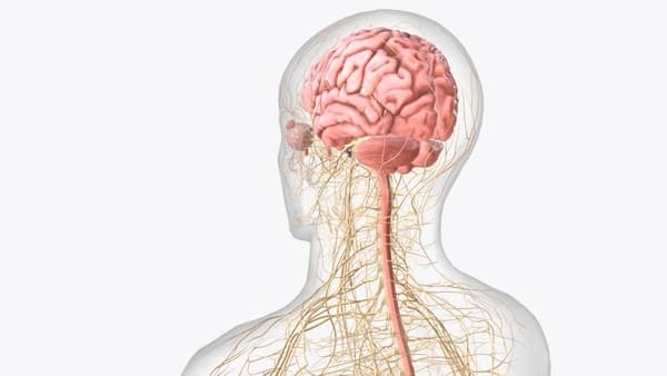 The Science Behind Meditation