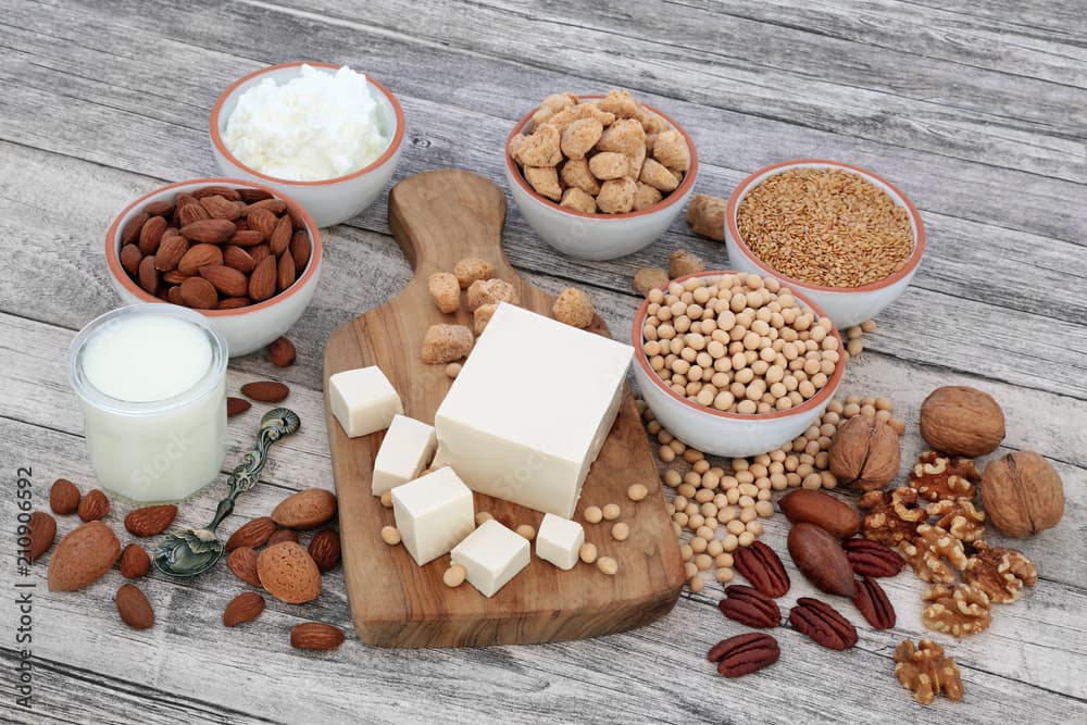 6. Exploring Plant-Based Nutrition