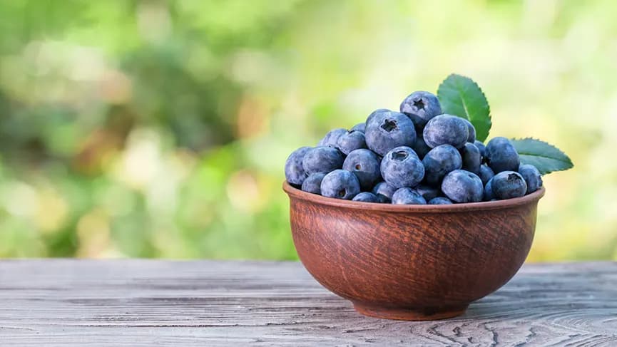 Blueberries: Antioxidant Powerhouses