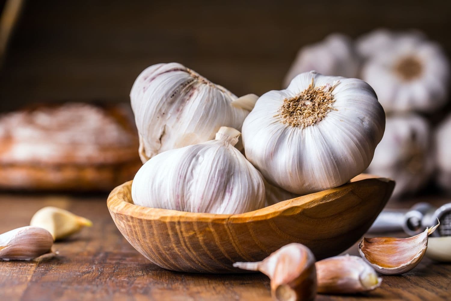 Garlic: A Natural Immune Booster