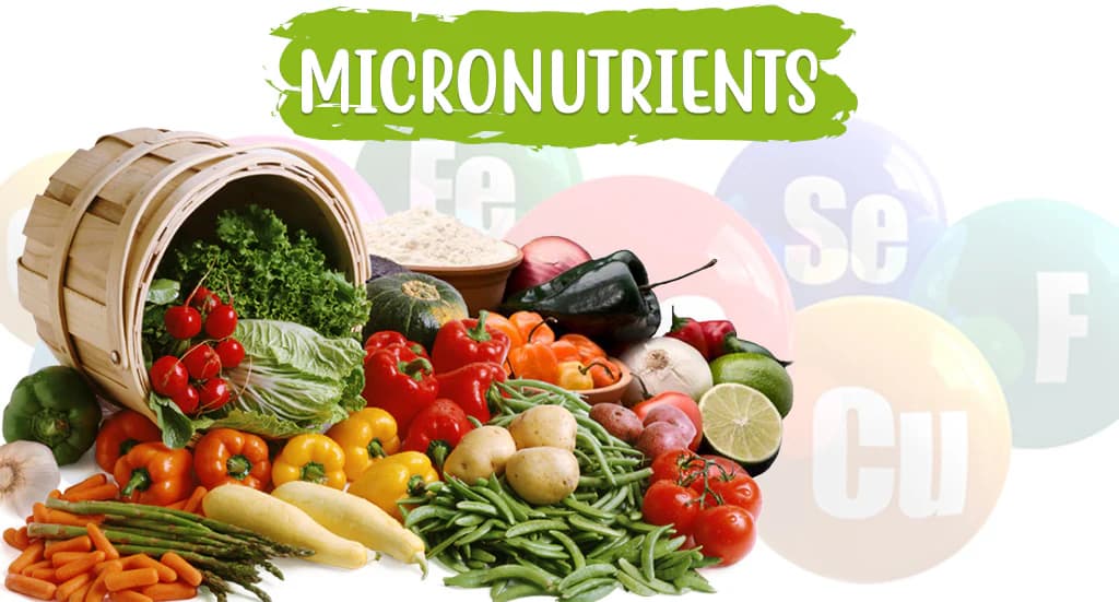 The Role of Micronutrients in Health