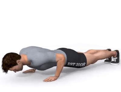 **2. Pushups**